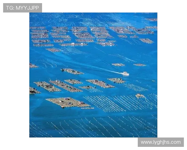 青岛国信水产强势迎战焦点对决展现海洋力量与竞技精神风采